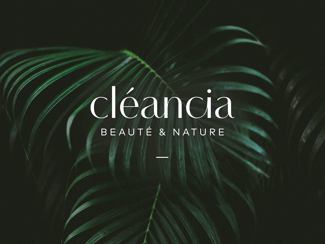 cleancia_branding_by-catherine-bisaillon_1300x975_001
